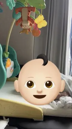 タカラトミー くまのプーさん 6WAYジムにへんしんメリー