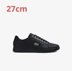 Item thumbnail for item 7caf5313-5883-406d-8760-c15aa0f35a8a