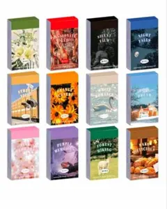 みぃたんプロフィール必須様 リクエスト 2点 まとめ商品