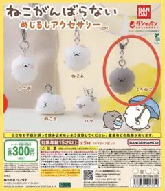 green様 リクエスト 2点 まとめ商品