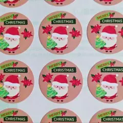 クリスマス⭐サンタシール♥1シート48枚