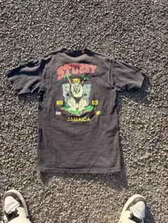 old stussy tシャツ 紺タグ 短丈 y2k