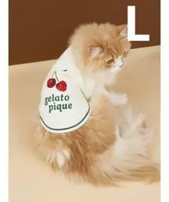 Item thumbnail for item 4a349ad5-64ac-4b4b-9459-38368a35325c