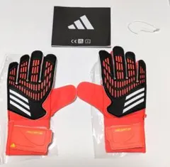 Item thumbnail for item 51f5503c-44cd-4360-ae98-2305e9542bdb