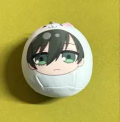 【ブルーロック】 ぬいぐるみ 糸師凛