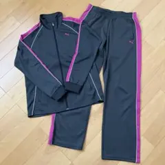 プーマ　ジャージ　上下セット　Oサイズ　グレー×ピンク