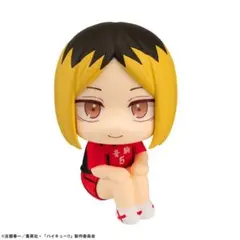 るかっぷ ハイキュー!! 孤爪研磨 ユニフォームVer. 限定座布団付き