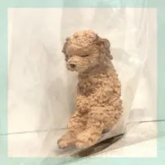 ✳︎匿名配送✳︎ いっしょにねんね わんこ《トイプードル》