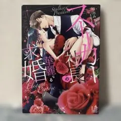 ストーカー社長の華麗なる求婚1