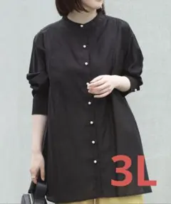 LAVEANGE シアーサテンバンドカラーシャツ　ラビアンジェ　3L シアーのサムネイル