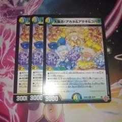 アカネ&アサギ&コハク