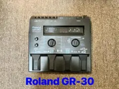 GR-30 Roland ギター シンセサイザー ローランドのサムネイル