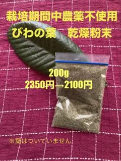 2026年最新】茂木 びわの人気アイテム - メルカリ