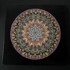 作家物☆ワイヤーワークアート作品 Crest:mirror 山田命佳 壁飾り