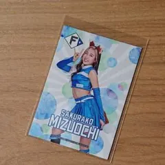 2026年最新】ファイターズガールの人気アイテム - メルカリ