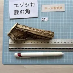 エゾシカのツノ　6本セット 189 エゾシカ 鹿のツノ わんちゃんのおもちゃ - メルカリ