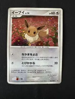 ディグダ ジムプロモ XYシリーズプロモーションカード PROMO 2枚 シェイミEX: プロモ[XY-P 212/XY-P](プロモーションカード「XY-P」)の