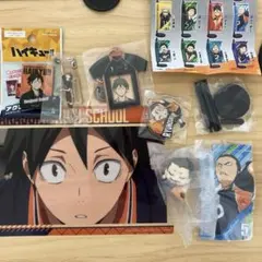 【ハイキュー】　烏野高校 山口と田中7点セット！