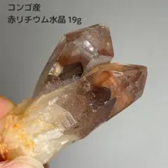 虹入り* 希少 初期 コロンビアレムリアン イシス パストタイムリンク