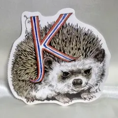 ポストカード「K」ハリネズミ①