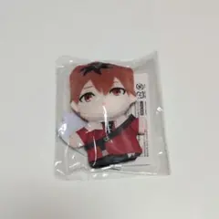 葬送のフリーレン シュタルク きゃらぱぺmini