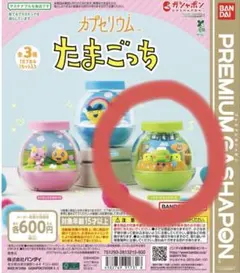 【新品未開封】たまごっち カプセリウム ガチャガチャ くちぱっち＆ちびぱっち