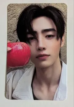 ENHYPEN THE:SIN VANISH ソンフントレカ