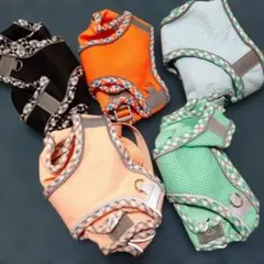 犬用メッシュハーネス・リード　５個セット