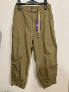 Item thumbnail for item 2a43f101-f1ee-48da-82f0-0a2806c10ae1