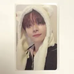 &TEAM ニコラス ふわふわアニマル トレカ