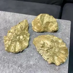 ゴールドペイント 貝殻 3個セット インテリア 置物 シェル　天然貝殻