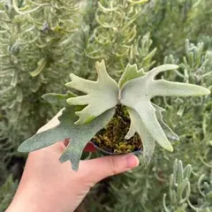 bound(^-^)様 リクエスト 3点 まとめ商品