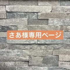 さあ様専用ページとなっております