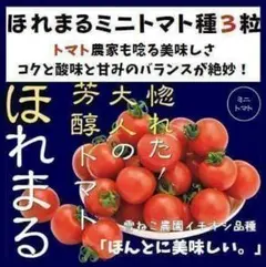 郡築‐二水ミニトマト高栄養リコピン、ビタミンC、カロテンが一般的な
