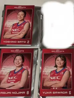 NECレッドロケッツ川崎　佐藤淑乃　澤田　野澤　トレカ　バレーボール女子日本代表