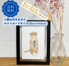 ポストカード　おしゃれ　かわいい　アート　イラスト　カワウソ　インテリア　動物