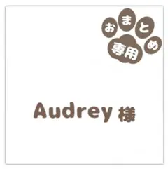 Audrey様 リクエスト 2点 まとめ商品