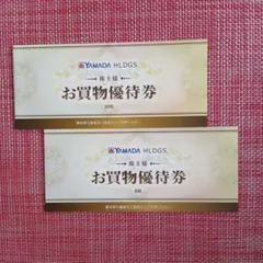 YAMADA HLDGS. お買物優待券 10枚 6枚セット