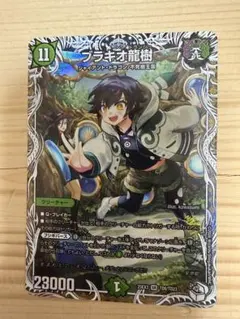 2026年最新】ブラキオドランジュの人気アイテム - メルカリ