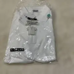 Item thumbnail for item 5f559b7c-c857-4c23-84d0-c9c793c2af89