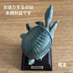 ネイチャーテクニカラー 日本の清流 ニッコウイワナ ヤマトイワナ