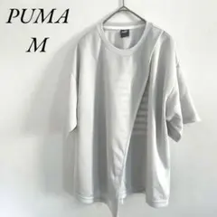 Item thumbnail for item 4a83e6ef-81db-441a-b7a8-93bee8893a20