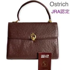 JRA⭐️オーストリッチ ハンドバッグ クラシカルデザイン ブラウン