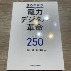 まるわかり電力デジタル革命キーワード250