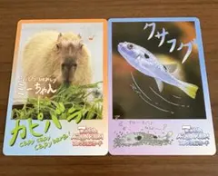鳥羽水族館 コレクションカード vol.2
