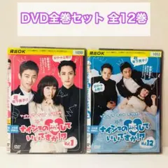 ナイショの恋していいですか！？　DVD全巻セット　全12巻　韓流/韓国ドラマ