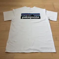 patagonia ホワイト Tシャツ バックプリント　半袖