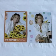 FANTASTICS 瀬口黎弥 フォトカ
