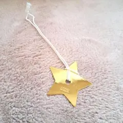 【Dior】ゴールド星型メタルチャーム