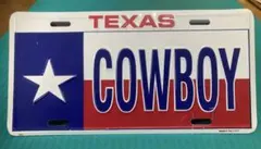 Item thumbnail for item f9d85c57-fe13-42dc-bdc2-f81d0a36802c